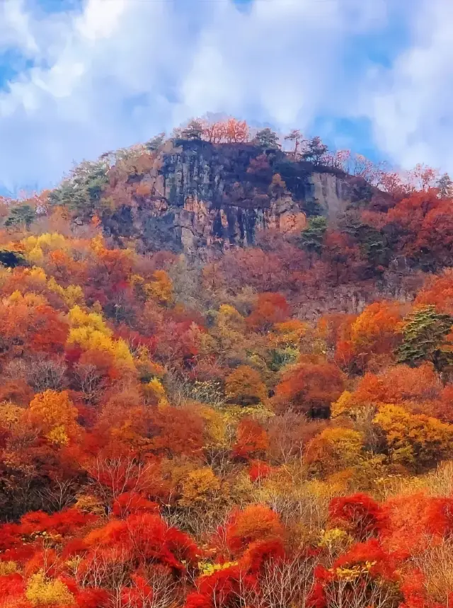 Benxi Guanmen Mountain: A Symphony of Autumn Colors and a Sea of Red Leaves