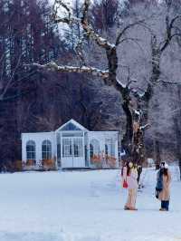 雪人節，這裡才是長春最值得來的地方！