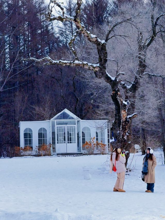 雪人節，這裡才是長春最值得來的地方！