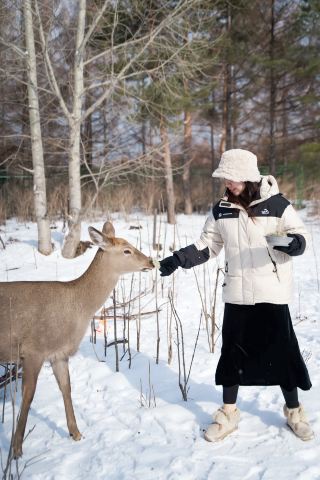 If you're planning a winter trip to Changbai Mountain, this is all you need to read!
