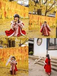 上海市區的真如寺銀杏葉落滿地啦