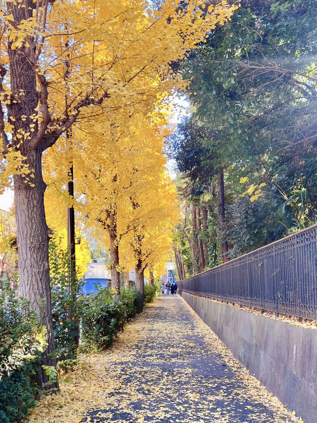 東京城市綠洲：芝公園的悠然時光