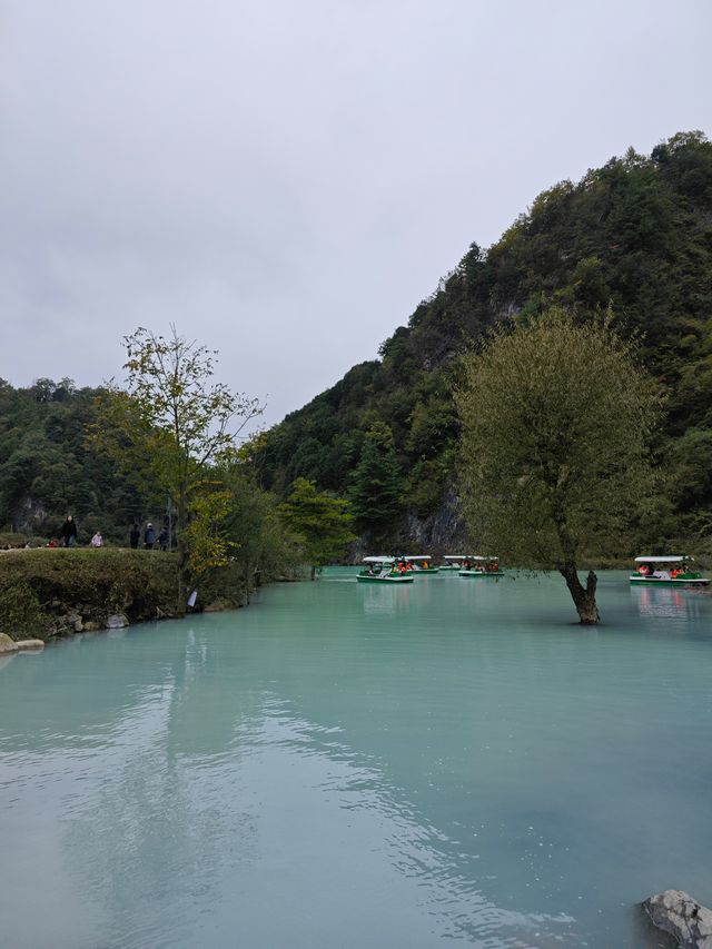 藏在秦嶺深處的天然牧場