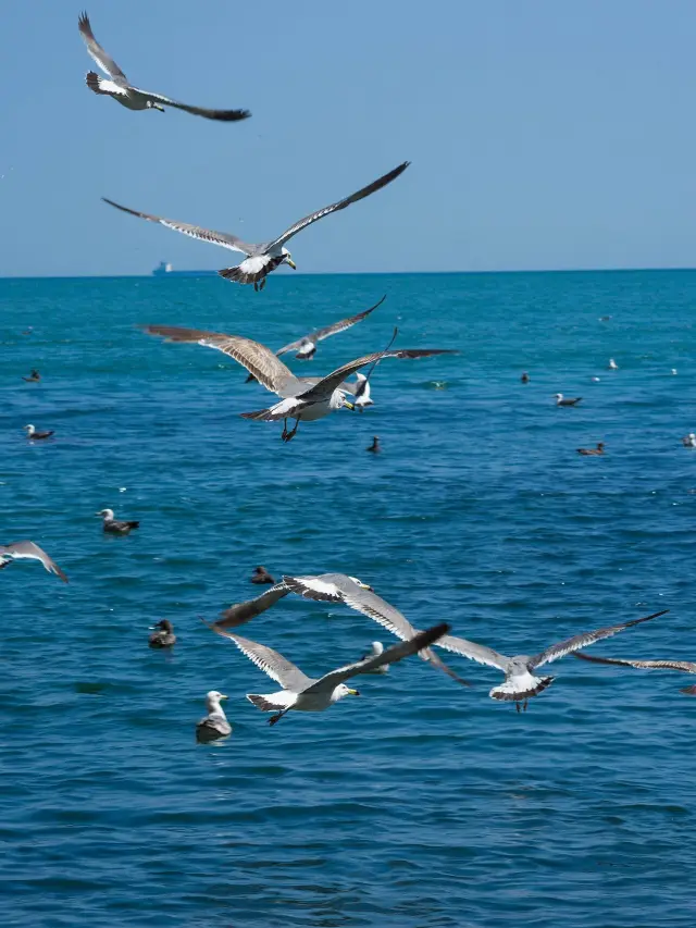 Qingdao, Laoshan, and Weihai Family Travel Guide: Explore the Coastal City with Your Kids