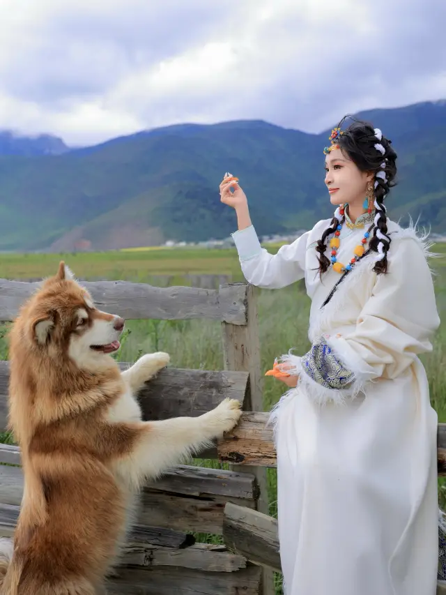 這家牧場民宿拍照太美了！還送藏服體驗！