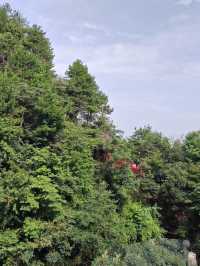 4日探秘張家界-武陵源-天門山超實用攻略 別錯過