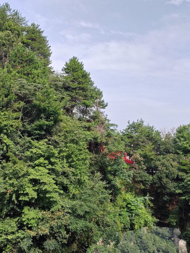 4日探秘張家界-武陵源-天門山超實用攻略 別錯過