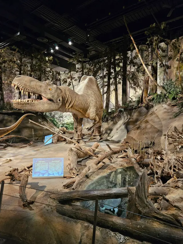 캐나다 등 여러 국가 6일 투어 초인기 코스 대공개