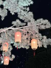 答應我 快來 2025深圳必打卡點已出現