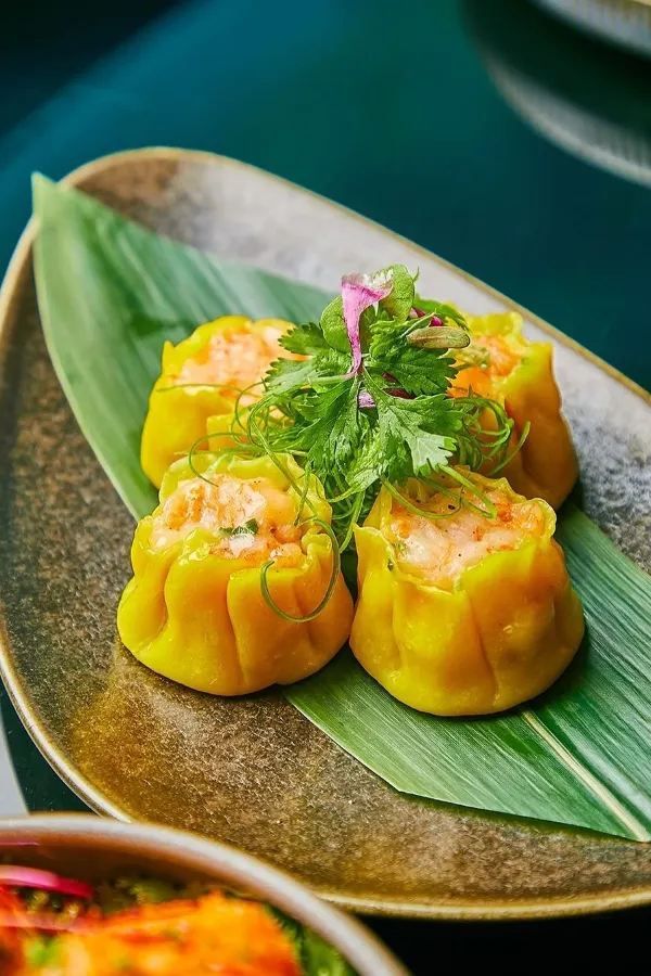 Discovering the Ocean-Themed Restaurant NEMO at The Land of Legends in Antalya
