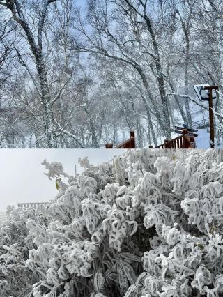 See the first rime of 2025 at Yunbingshan Mountain in Qingyuan this weekend