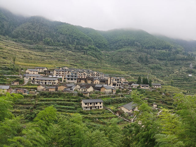 雲山序民宿：梯田之巔的夢幻居所