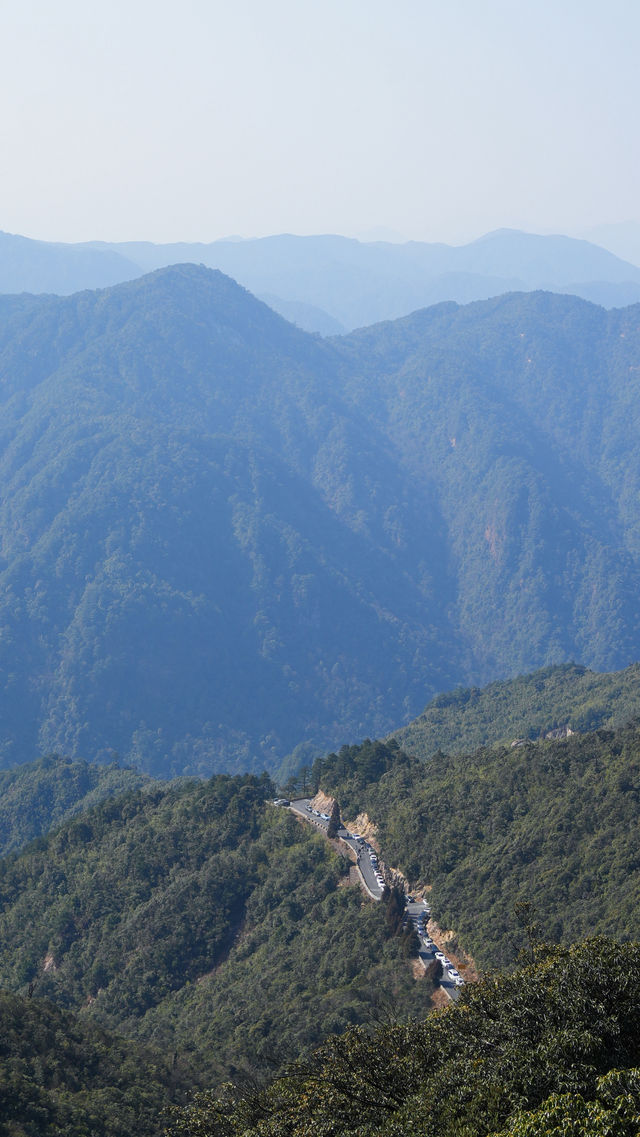 郴州莽山｜可以坐電梯的高山