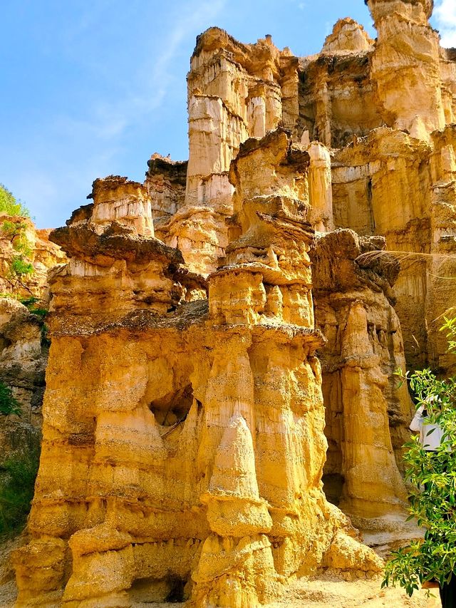 如果你想要一場與眾不同的旅行，那就來元謀土林