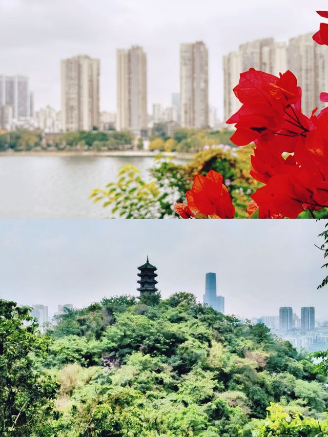 探秘廣西柳州蟠龍山，隱藏的仙境等你來發現！