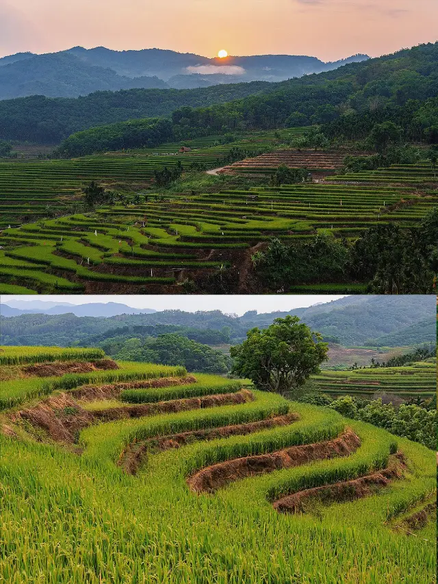 寒假去五指山超詳細攻略快碼住