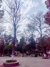 衢州孔子文化公園，古城之源，文化聖地