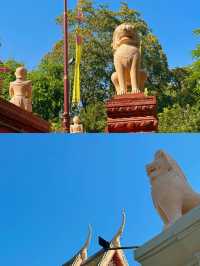 7天探索柬埔寨你的旅行清單必備攻略