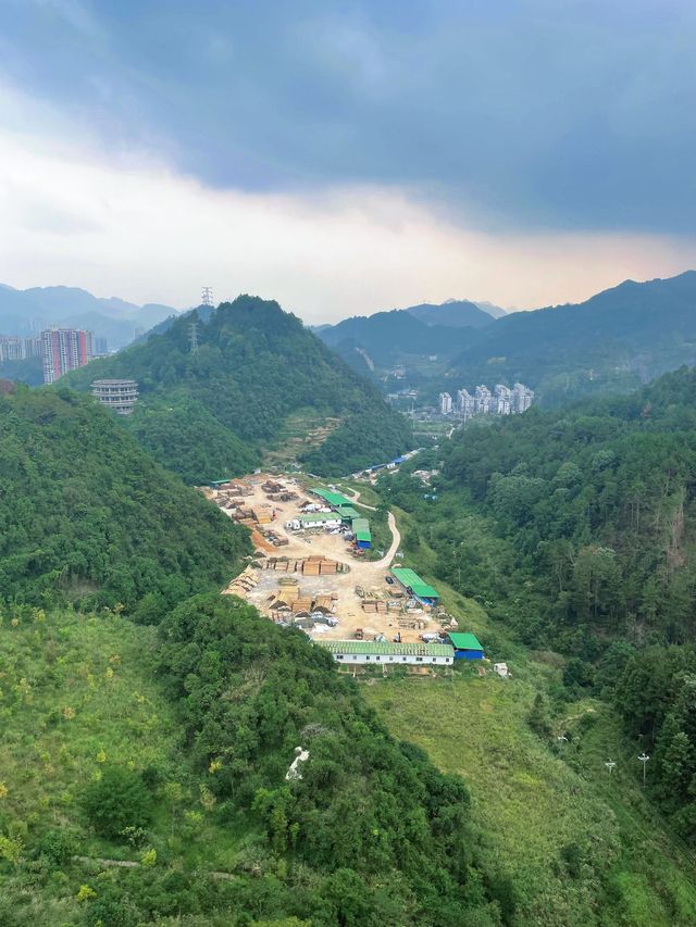 貴州金海雪山等地探秘超美植物園打卡全攻略