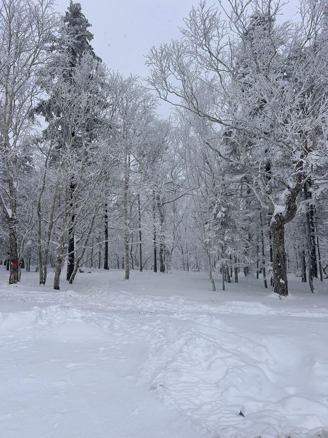 牡丹江滑雪攻略不看後悔系列
