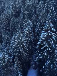 瑞士冬日遊9天玩轉雪國仙境