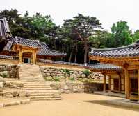 走進大邱桐華寺｜感受寧靜與祥和