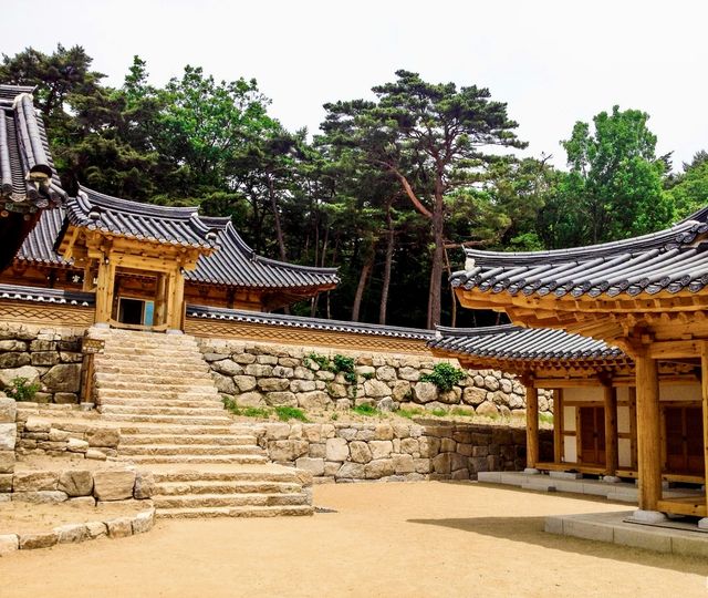 走進大邱桐華寺｜感受寧靜與祥和