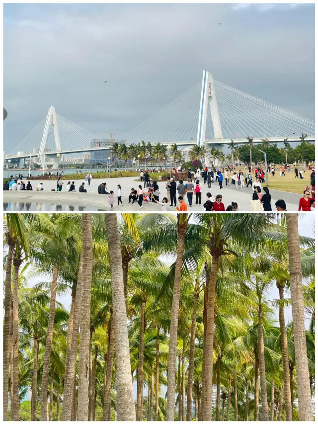 Back from Haikou, my advice is... A city inspired by a song