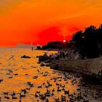 海鷗與落日🌇椰林遊樂場🌴一定要帶娃來‼️
