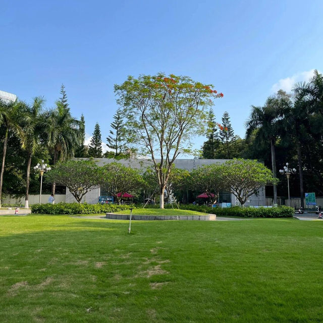 🏫深圳大學，我的夢中情校🥰