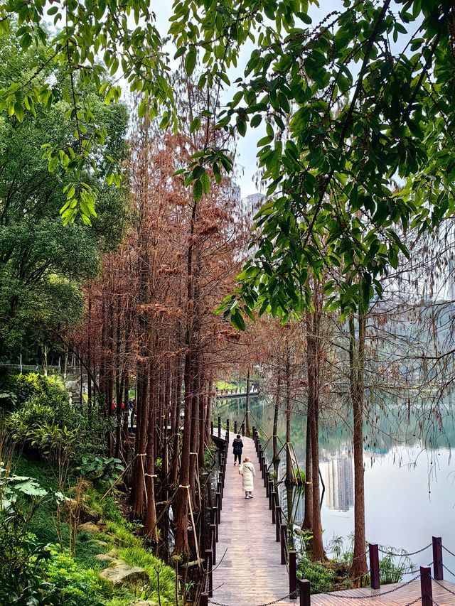 春日漫步：彩雲湖公園