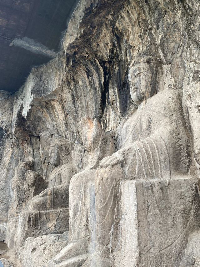 洛陽龍門石窟-白馬寺親子遊超全攻略必收藏