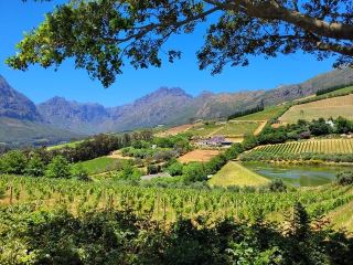 Bathurst Wineries: Explore Australia's Wine Paradise 
