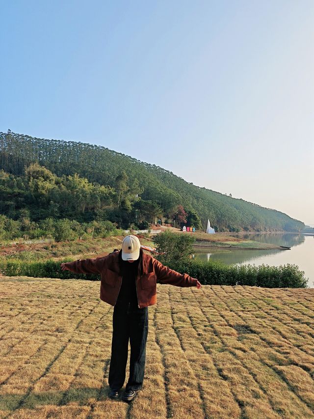 廣東人有自己的貓貓島 含喵率 10000%