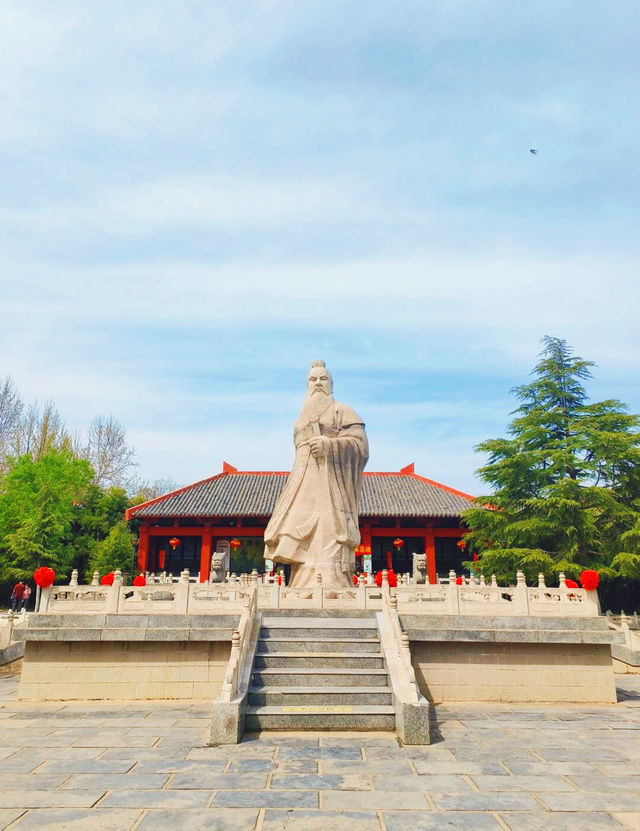 漫步毫州，三月花開正當時，錯過等一年
