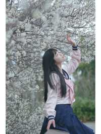 成都春日限定｜白梅花與JK少女，美得犯規！