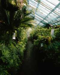 瑞典隆德植物園：在綠意盎然的自然中，放鬆心靈 