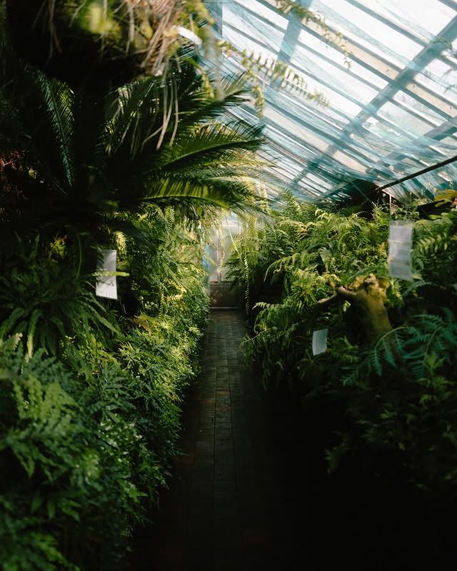 瑞典隆德植物園：在綠意盎然的自然中，放鬆心靈 