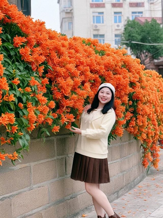 春日華新路，在時光裡尋一抹明媚