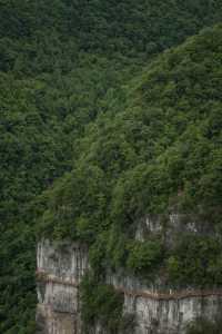我在畢節找到一個原始森林高原峽谷秘境｜大方油杉河景區