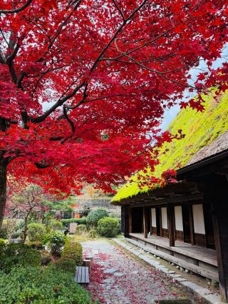 Traveling with Kids in Japan: Don't Miss the Hot Springs