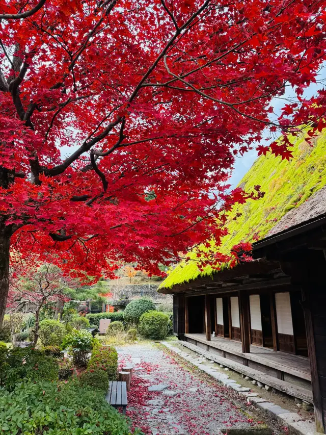 子連れで楽しむ日本温泉旅行は必見！