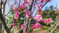 從「世博園」到「世博公園」，再添城市風采！
