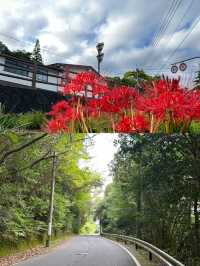 雲仙市：日本嘅溫泉之鄉