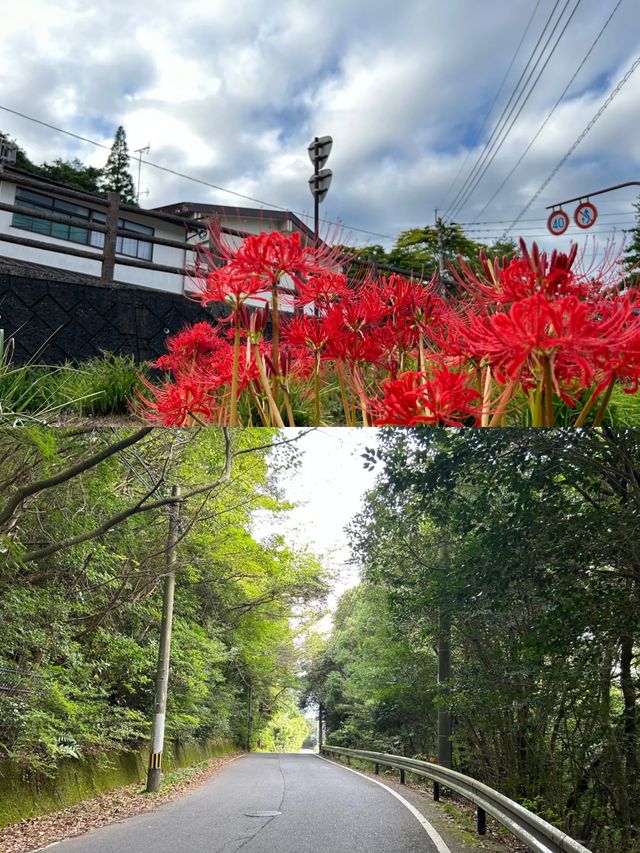 雲仙市：日本嘅溫泉之鄉