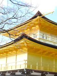 日本8天遊 玩轉全境不重樣