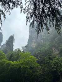 小長假要去張家界等地旅遊攻略 趕快收藏