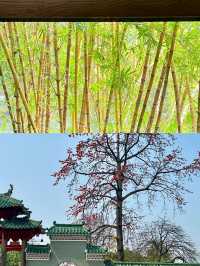 真羨慕佛山人！竟然藏著這麼美的公園不說