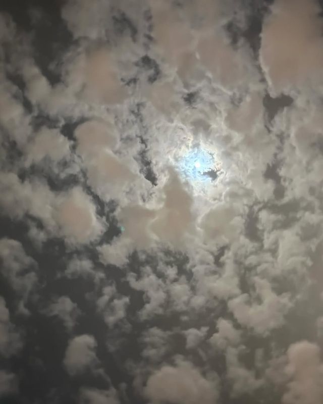 在沙特的雲端，我找到了比迪士尼更魔幻的桃花源！