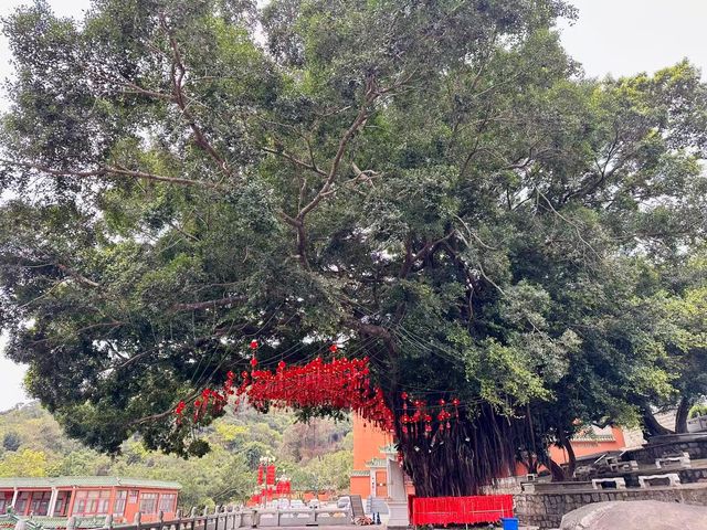 汕尾清雲山